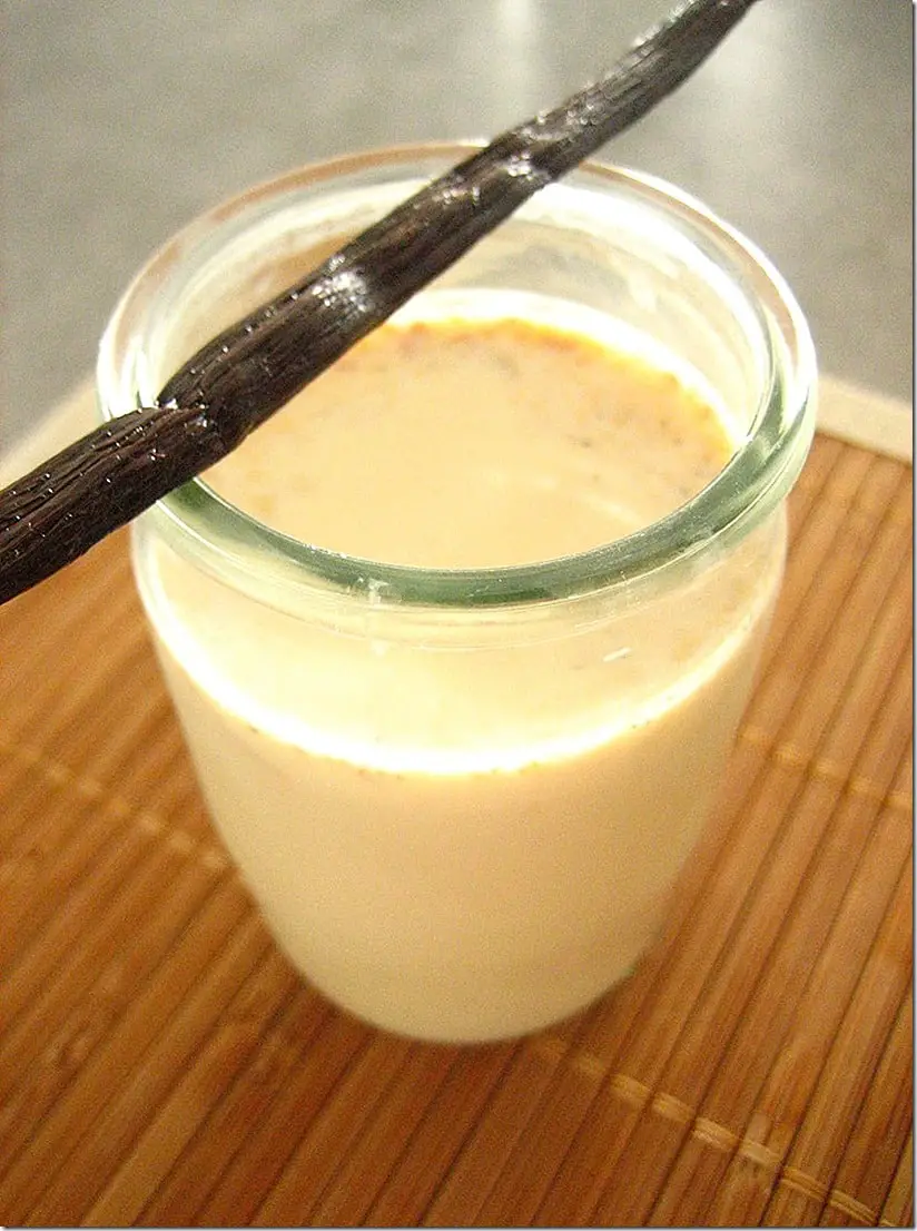 yaourts à la vanille