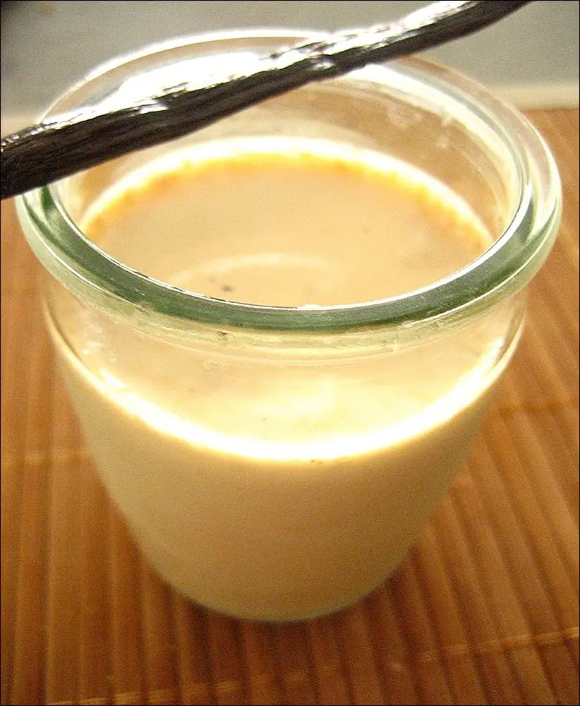 yaourt à la vanille avec yaourtière