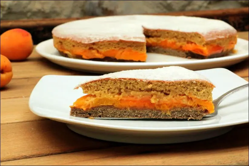 gâteau aux abricots à l'anglaise sans gluten et sans lactose