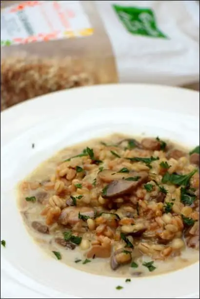 risotto céréales champignons mozzarella
