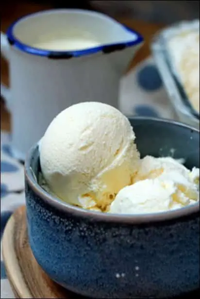 glace yaourt a la sorbetiere