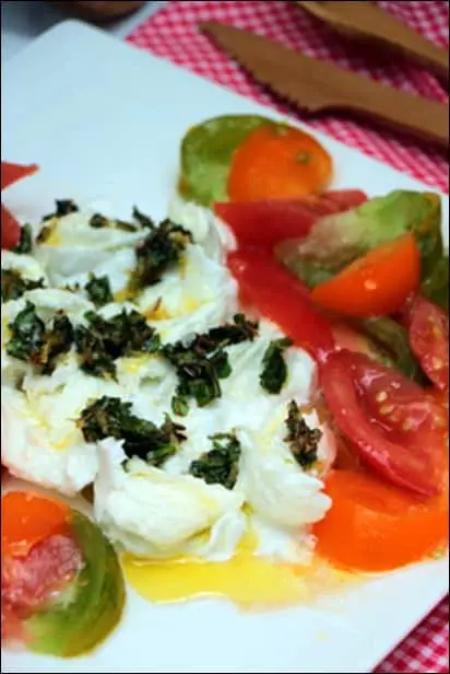 salade caprese mozzarella basilic
