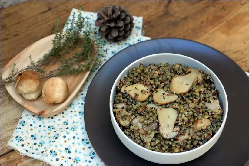 salade lentilles quinoa cepes cuits