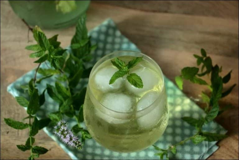 Thé glacé maison à la menthe - Happy papilles