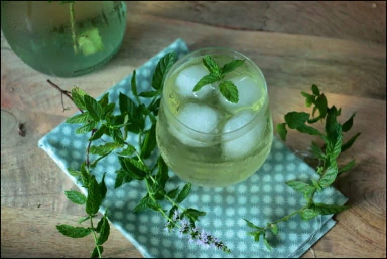 Thé glacé maison à la menthe - Happy papilles