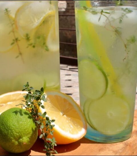 eau detox citron citron vert et thym