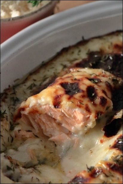 pavés de saumon bechamel au parmesan