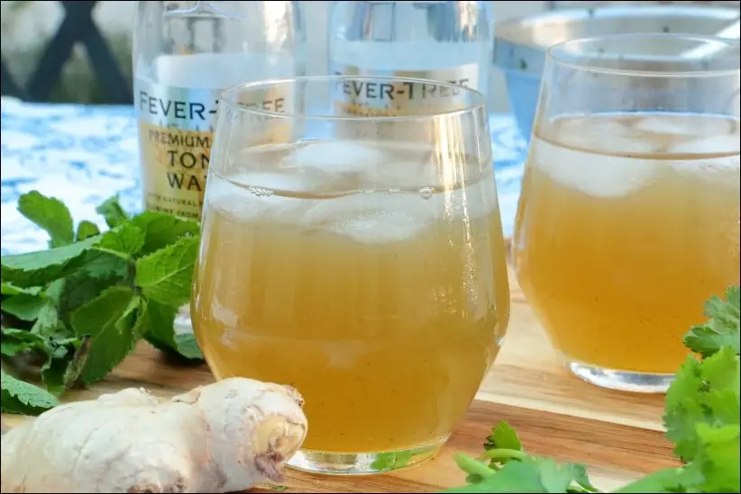 cocktail tonic gingembre coriandre menthe sans alcool