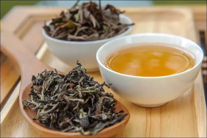 comment est fait le thé oolong