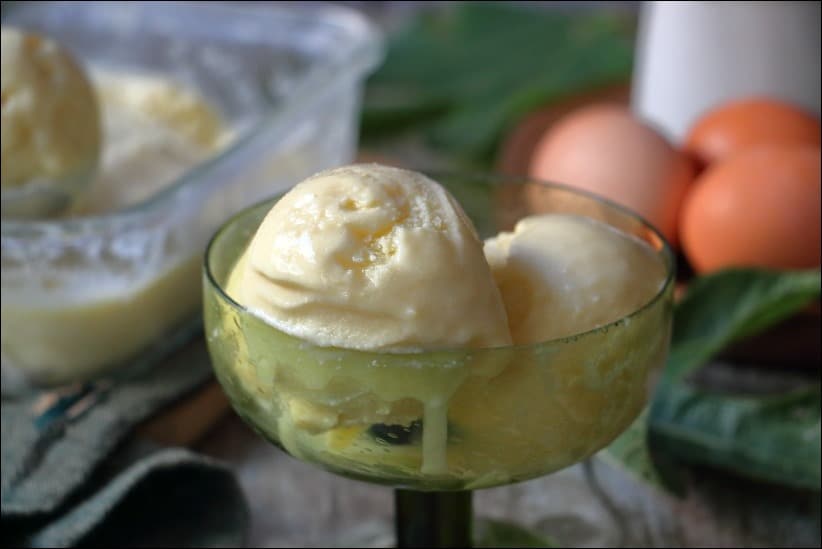 Creme-glacee-feuille-figuier (11) glace a la feuille de figuier