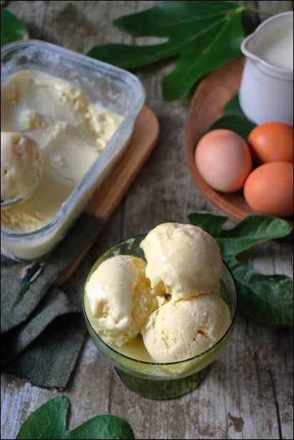 Creme-glacee-feuille-figuier (12) glace feuille figuier a la sorbetiere