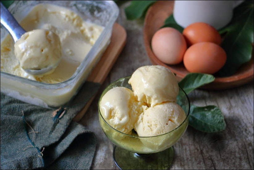 Creme-glacee-feuille-figuier (13) recette glace aux feuilles de figuier