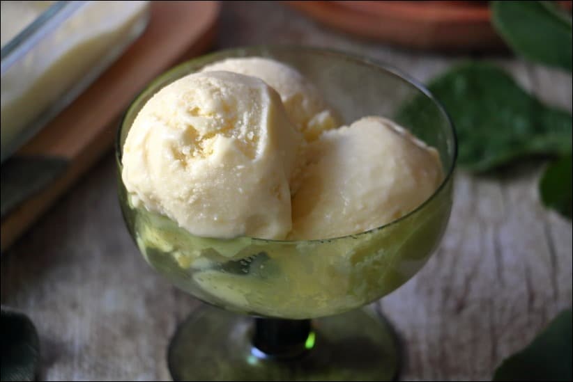 Creme-glacee-feuille-figuier (2) glace figuier