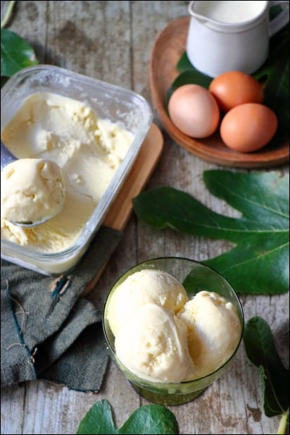 Creme-glacee-feuille-figuier (9) glace aux feuilles de figuier